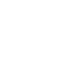 brain icon