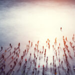 Coaching for NHS Executives Chief Executives
